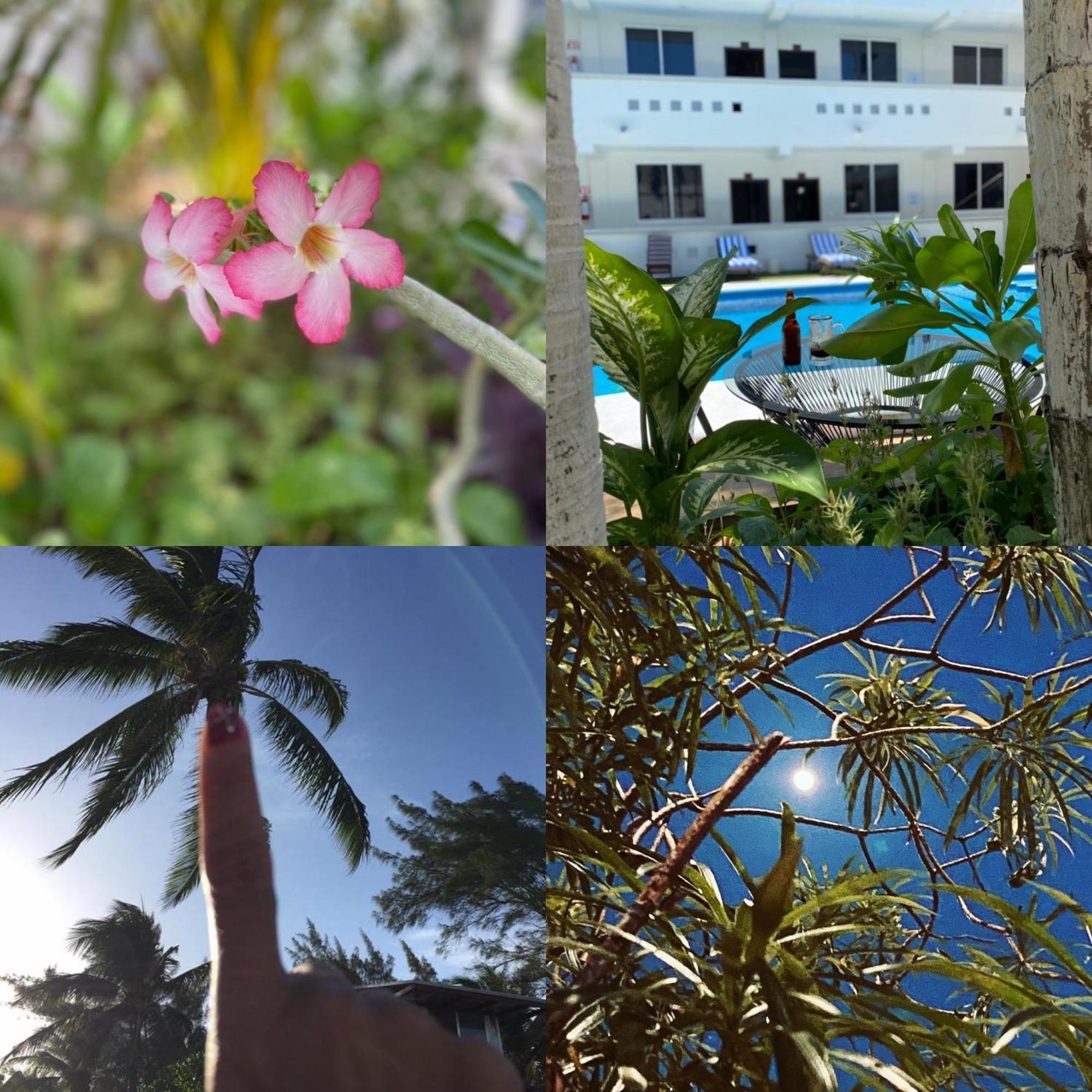 Hotel Balxiba プレヤデルカーメン エクステリア 写真