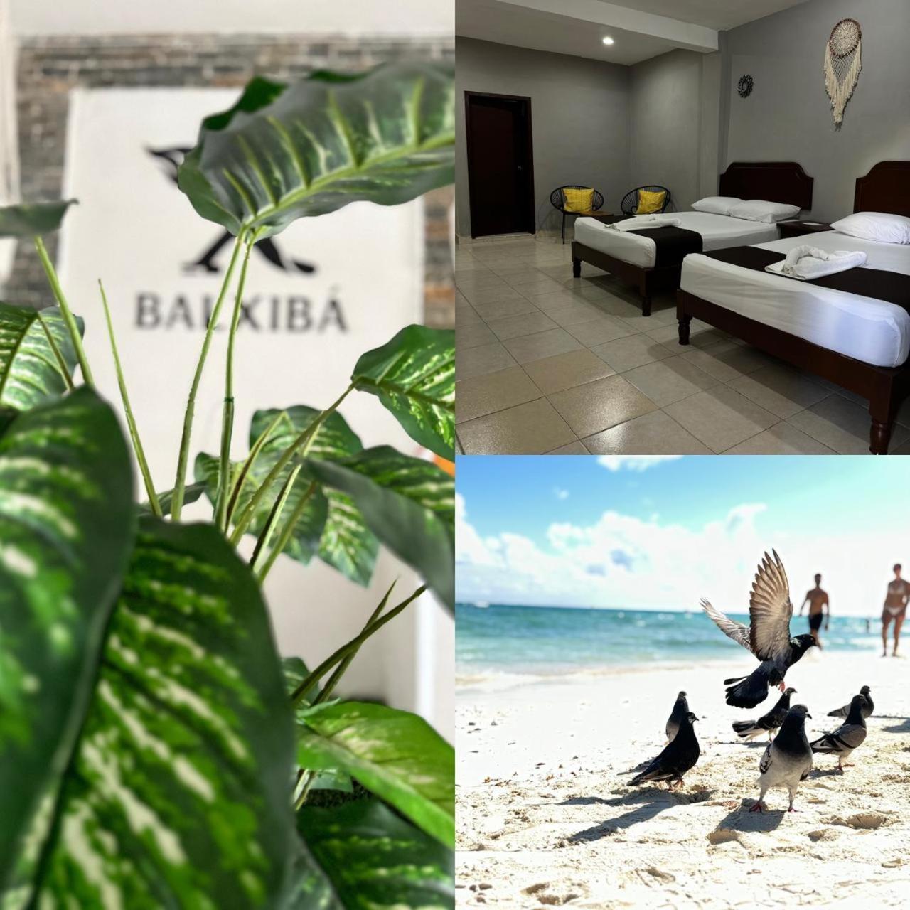 Hotel Balxiba プレヤデルカーメン エクステリア 写真